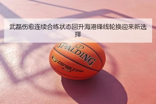 武磊伤愈连续合练状态回升海港锋线轮换迎来新选择