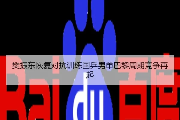 樊振东恢复对抗训练国乒男单巴黎周期竞争再起